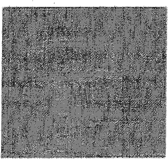 Method for fabricating field emitter electrode using array of carbon nanotubes