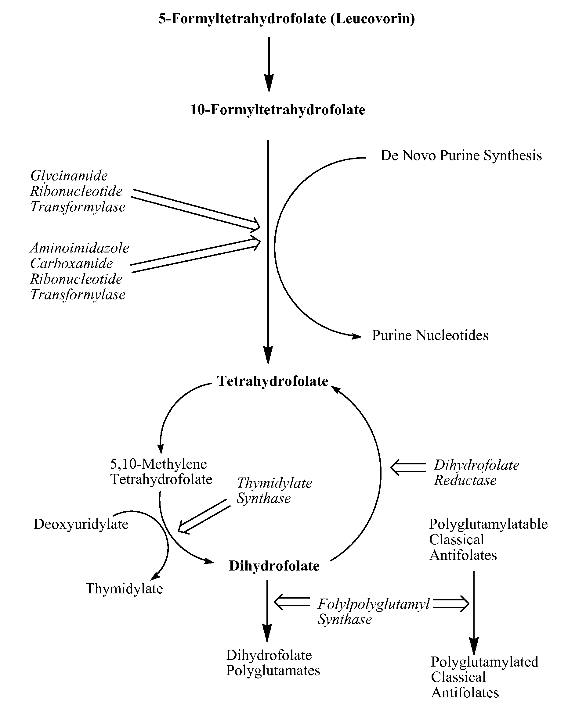 New classical antifolates