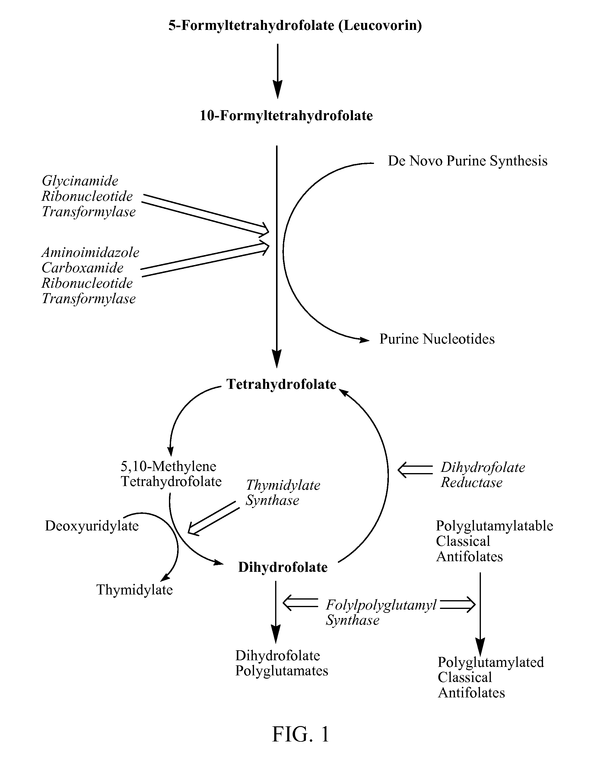 New classical antifolates