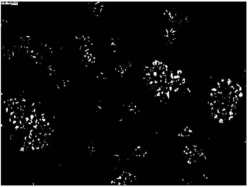 Medium and application thereof in central memory T lymphocyte culture