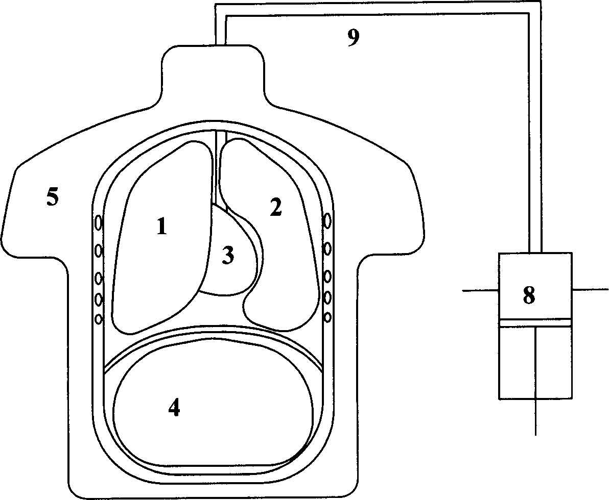 Partial dynamic human body object model device for CT imaging