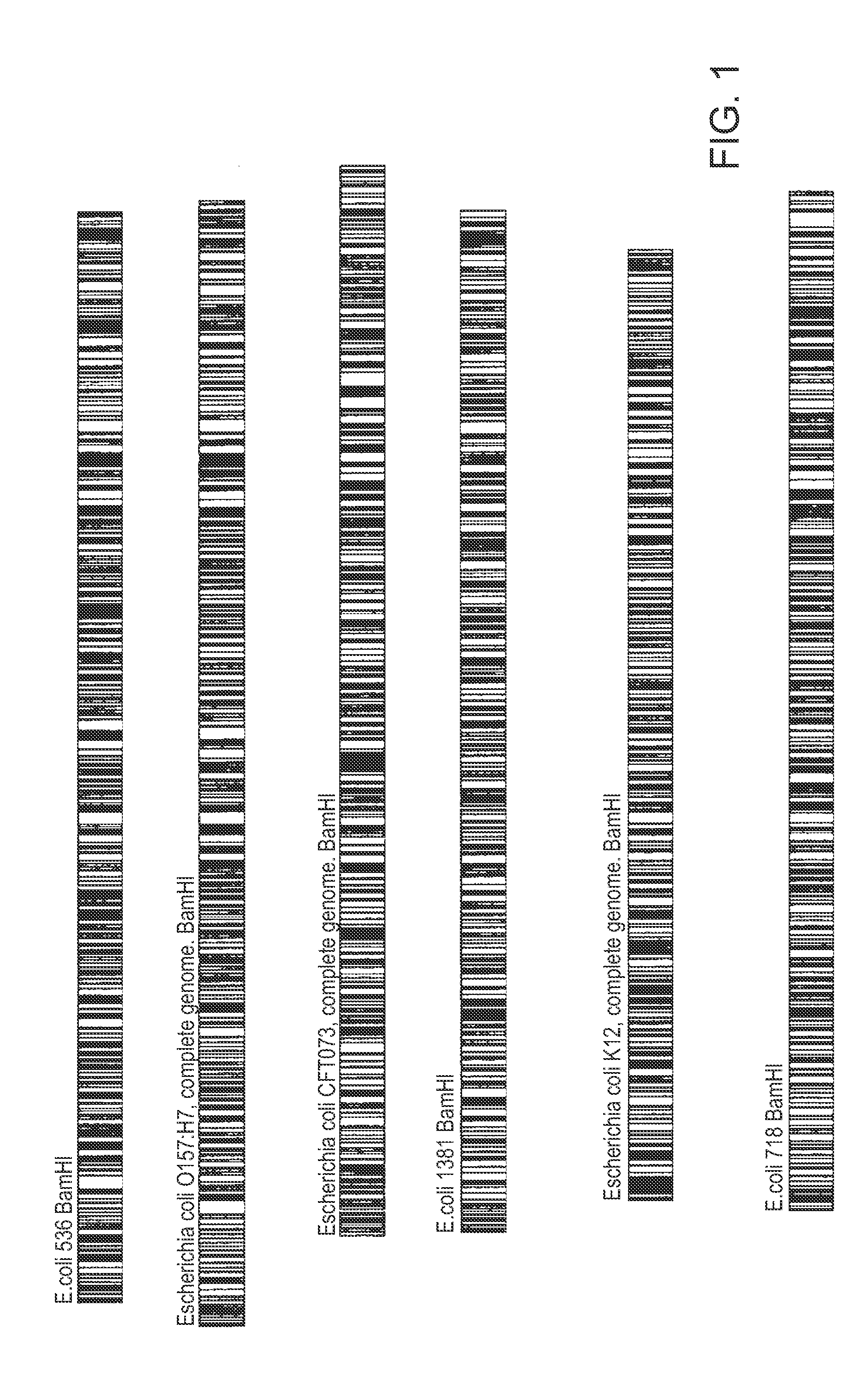 Methods of categorizing an organism