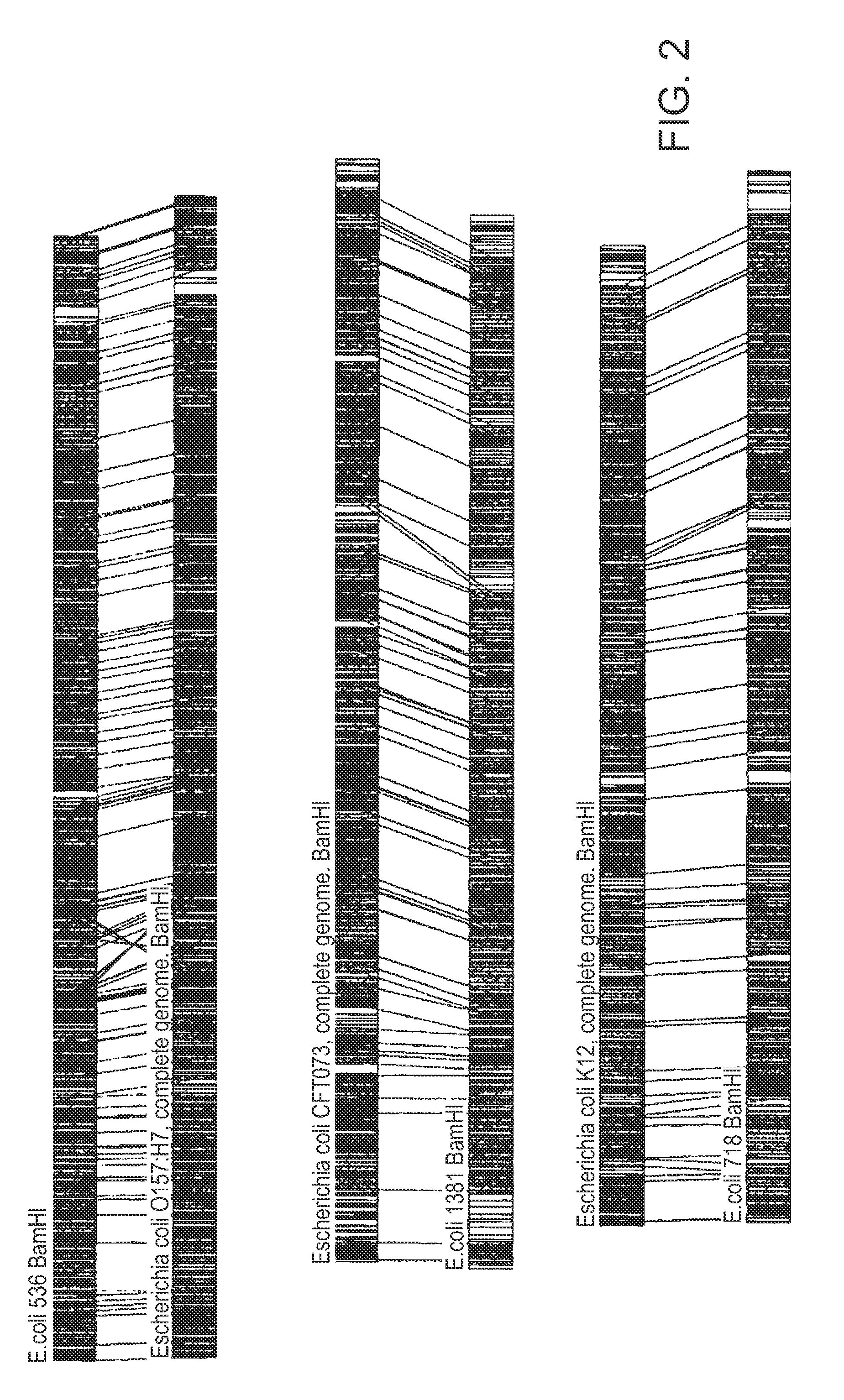 Methods of categorizing an organism