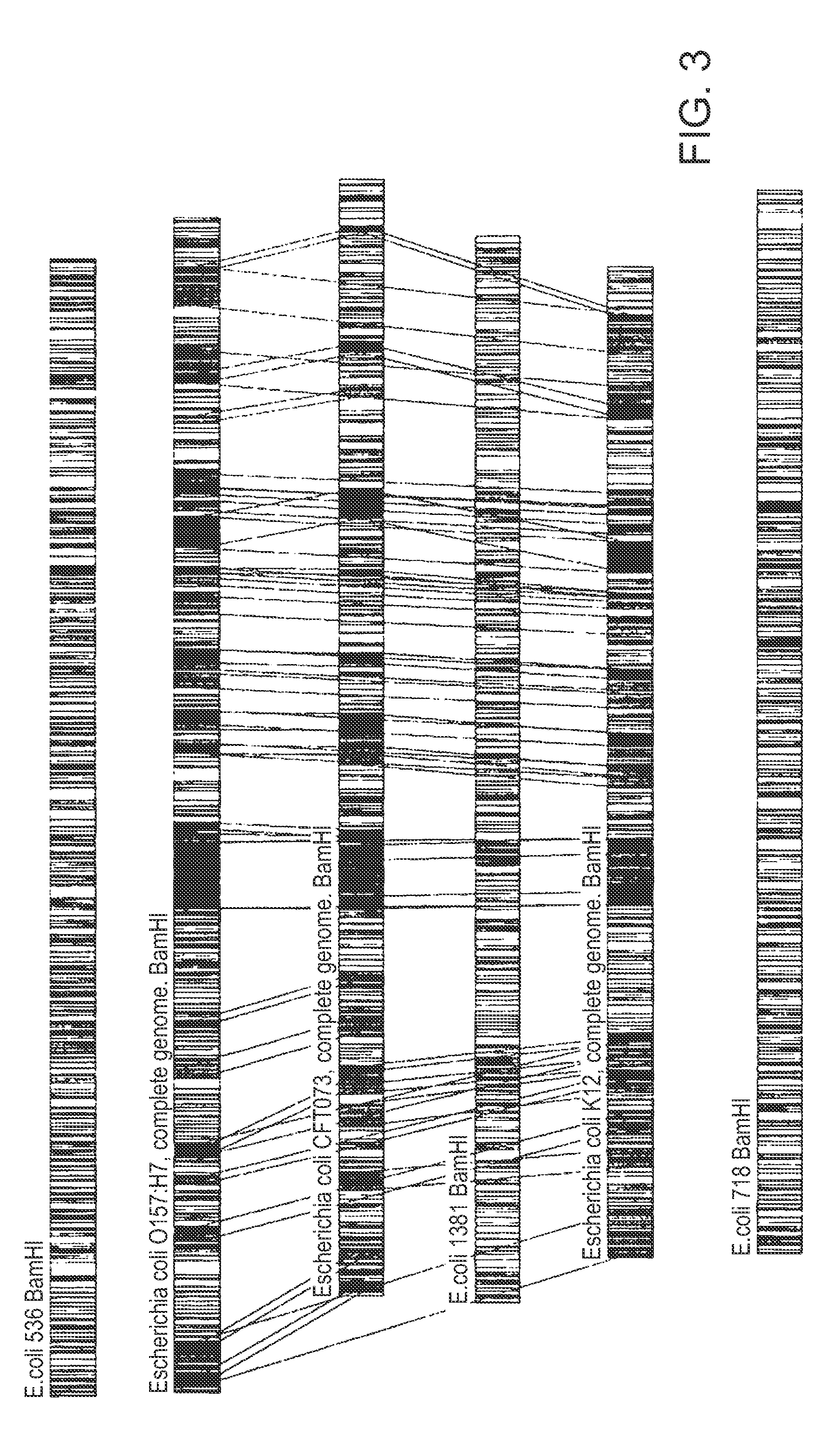 Methods of categorizing an organism