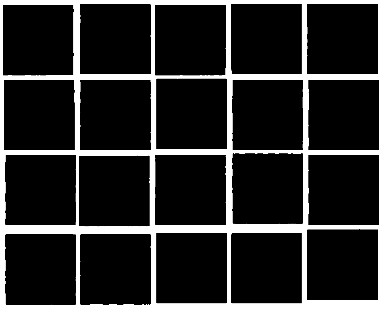 Cancer cell image recognition device and equipment based on quantum gate circuit neural networks