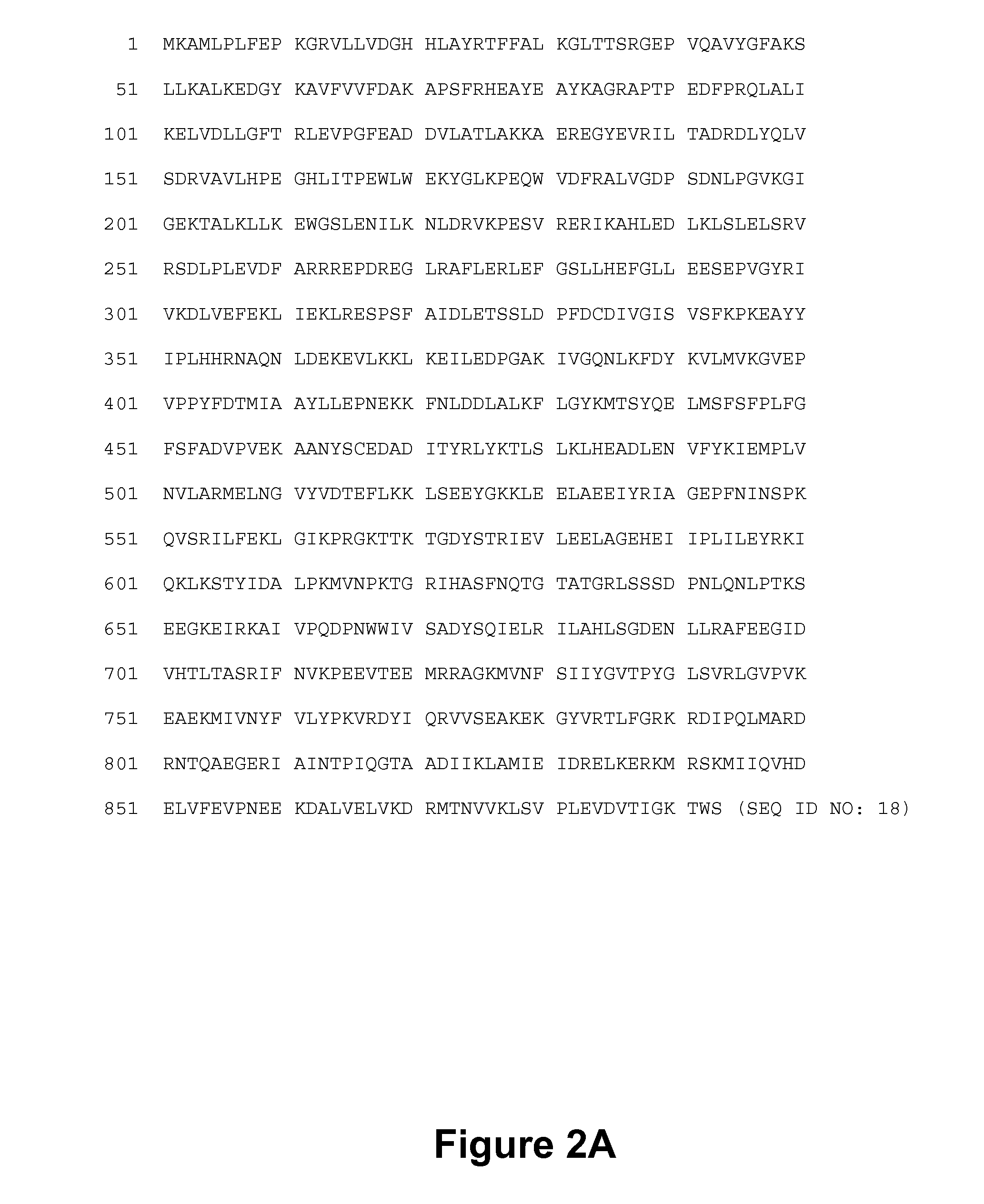 DNA polymerases and related methods