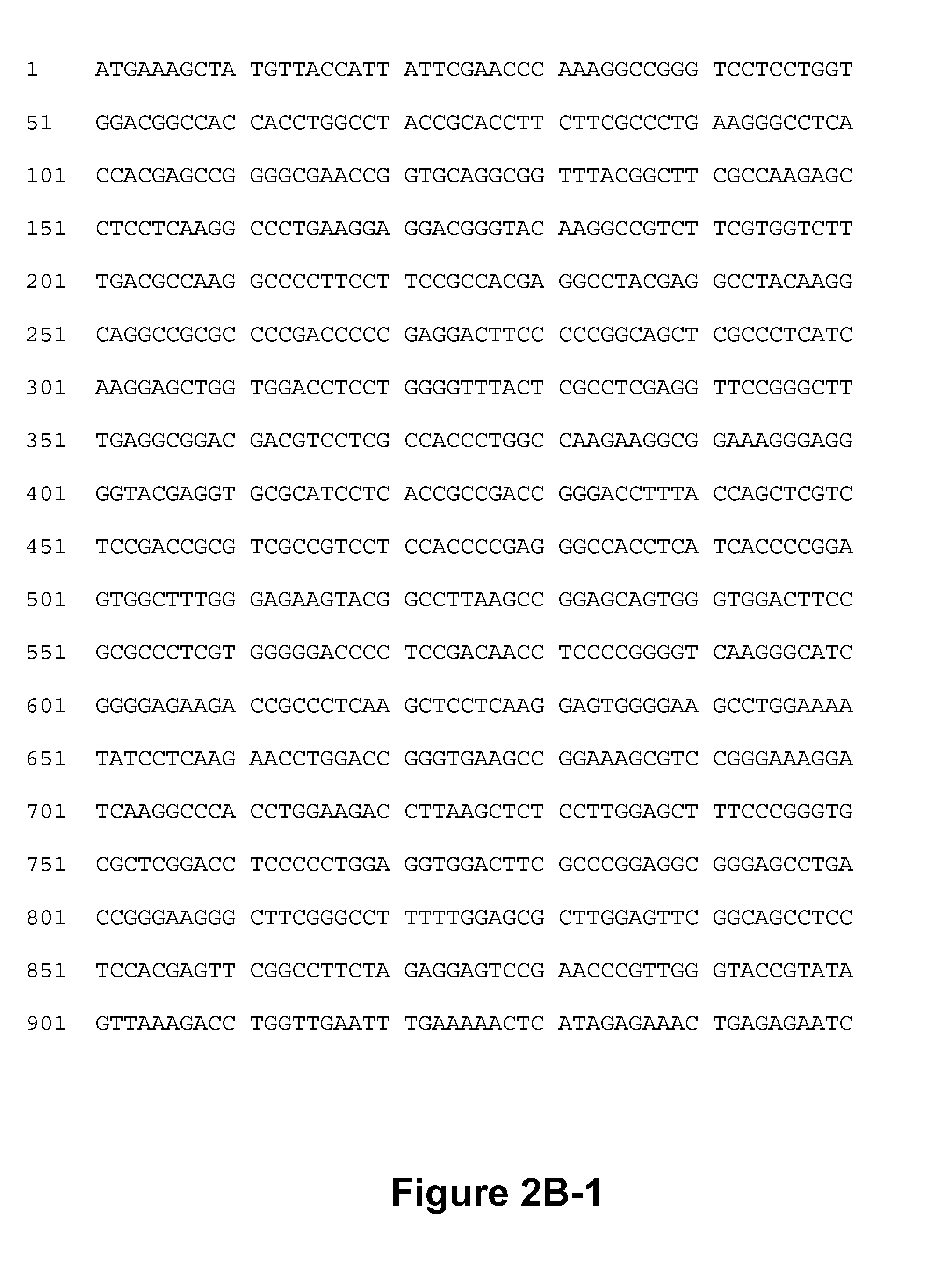 DNA polymerases and related methods