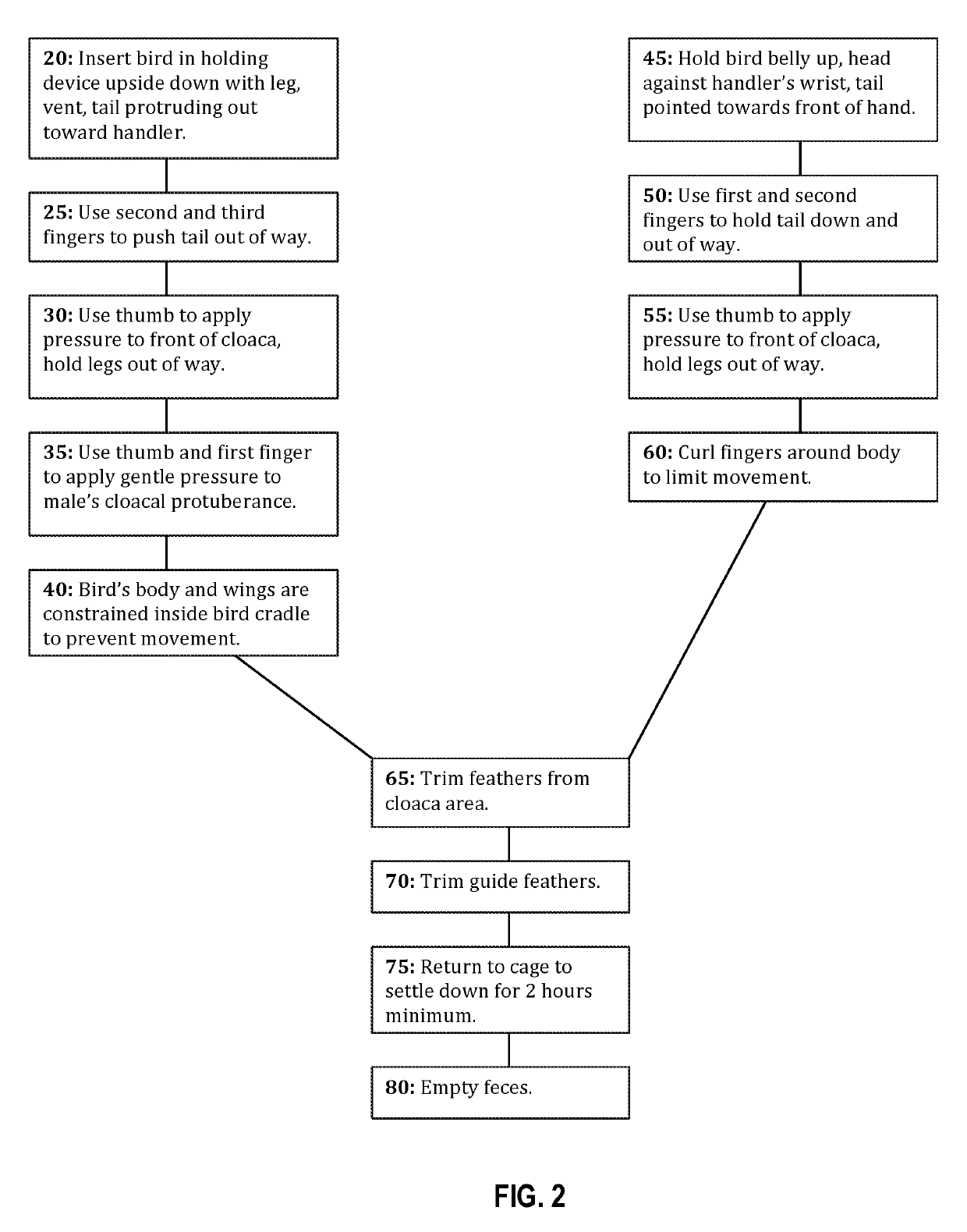 Method and apparatus for effecting sperm collection and artificial insemination in small birds