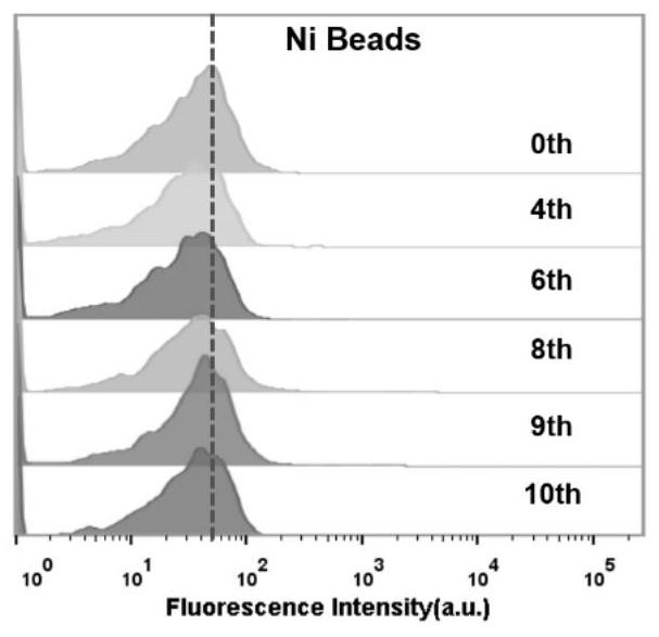 A nucleic acid aptamer of epithelial cell adhesion molecule epcam screened in human plasma and its preparation method and application