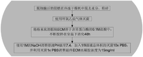 Preparation method of thermally responsive bladder extracellular matrix bioactive hydrogel