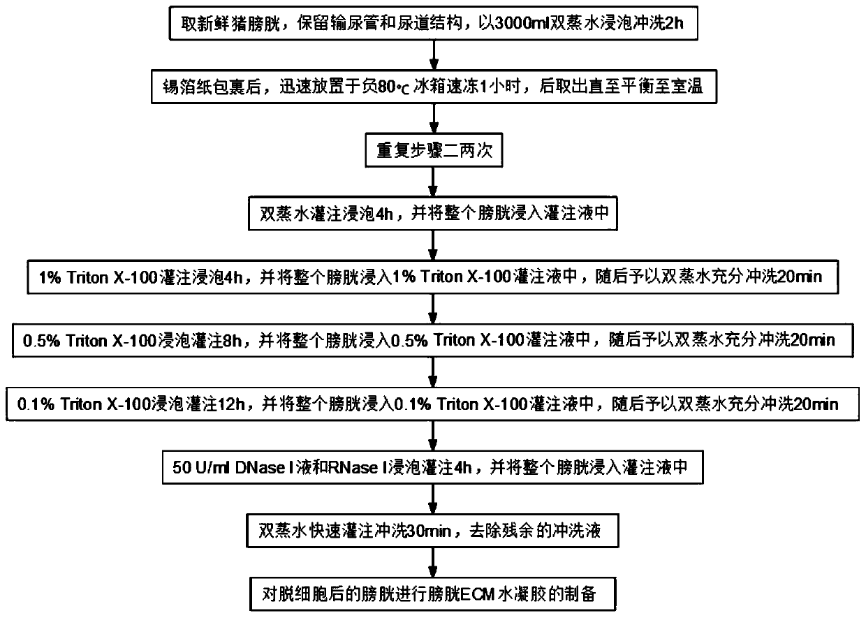 Preparation method of thermally responsive bladder extracellular matrix bioactive hydrogel