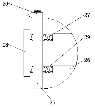 Easy-to-use Prunus salicina Lindl. collecting device for garden