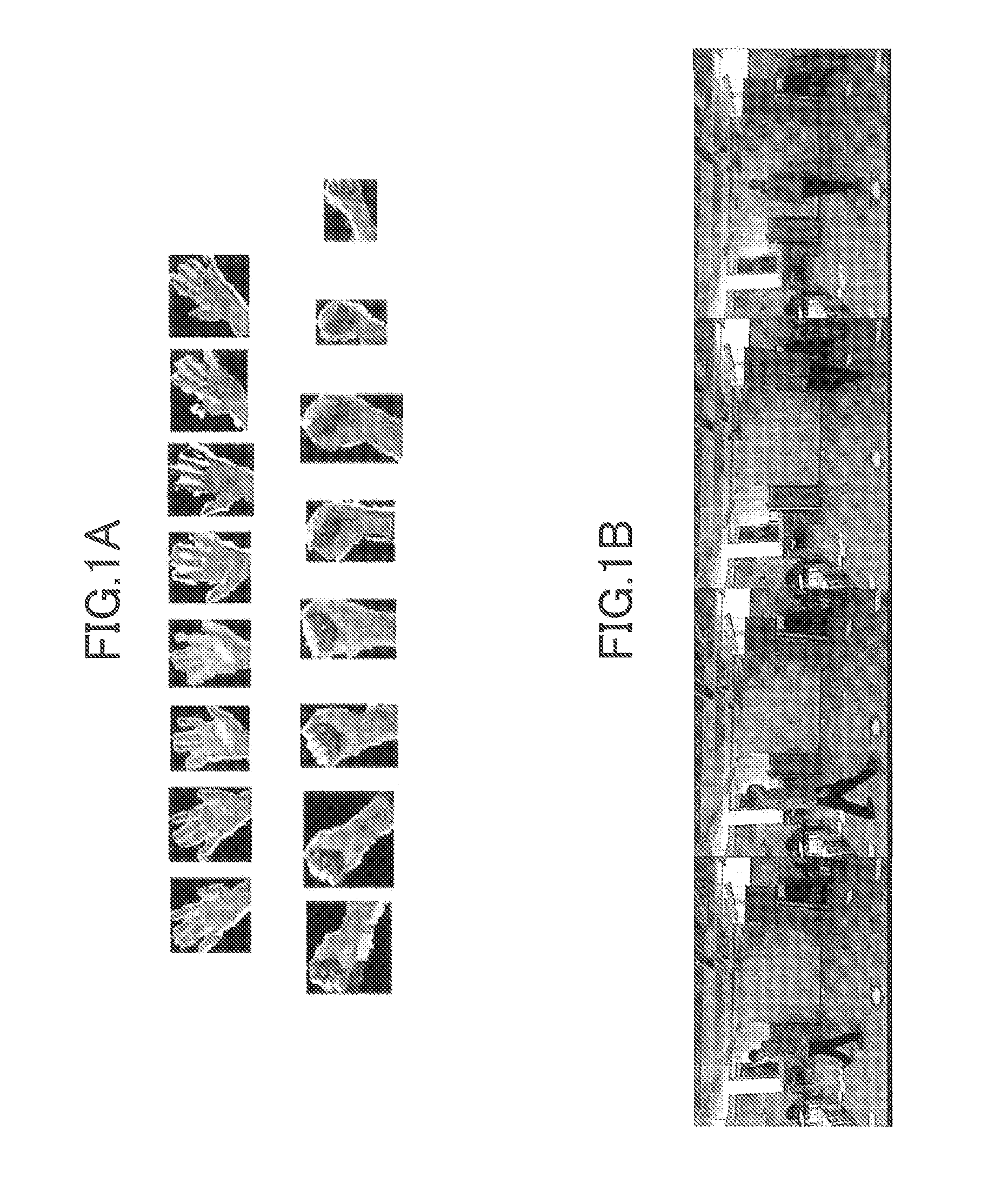 Method and apparatus for expressing motion object