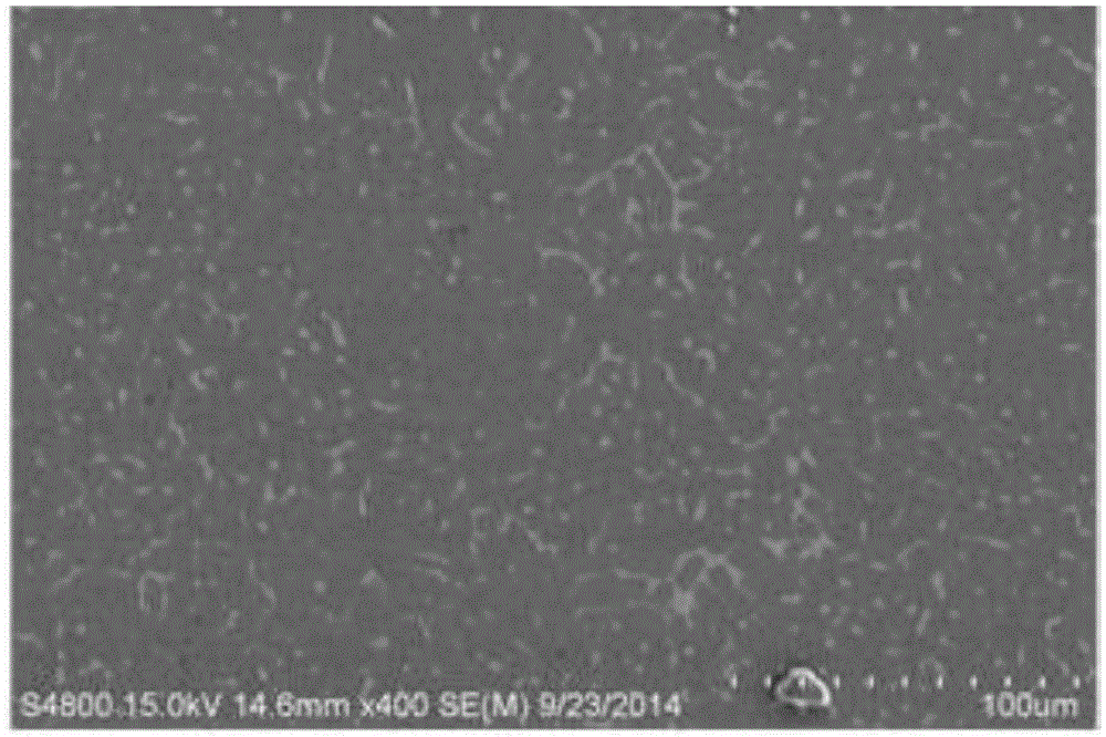 Weld surface protection method for aluminum alloy storage tank storing N2O4 for a long time