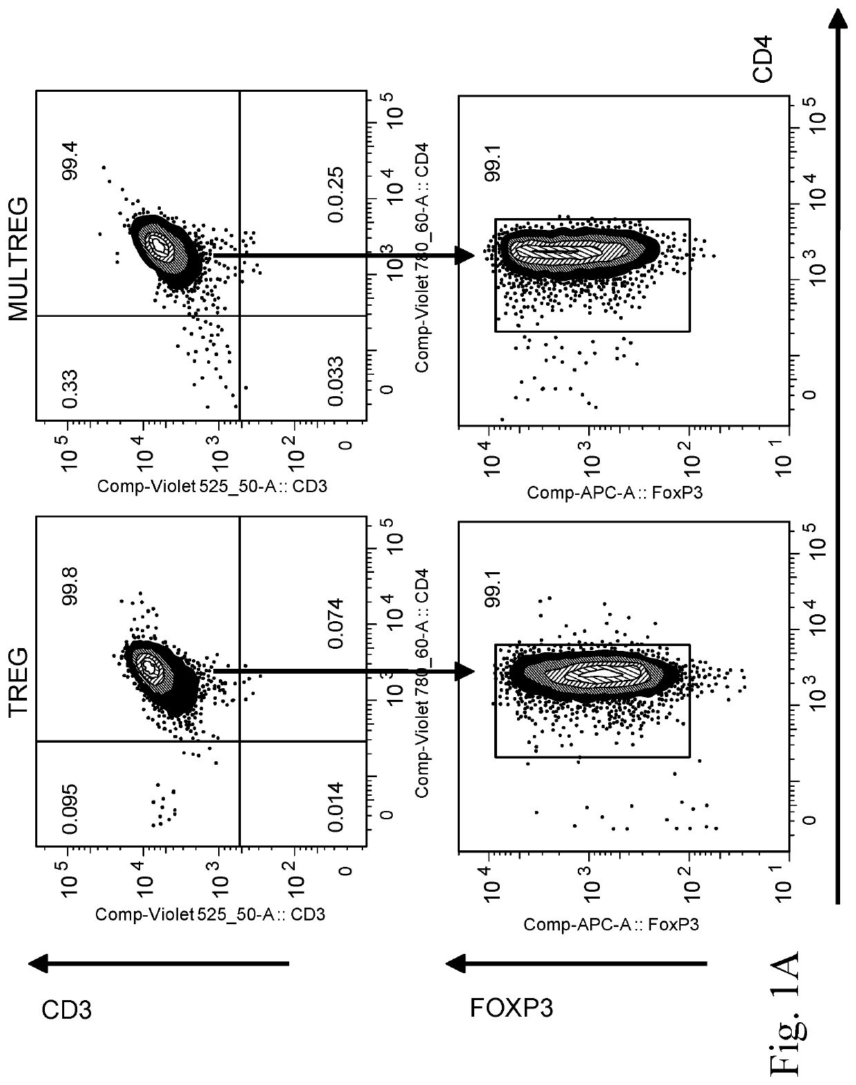 Methods for enhancing proliferation of t regulatory cells