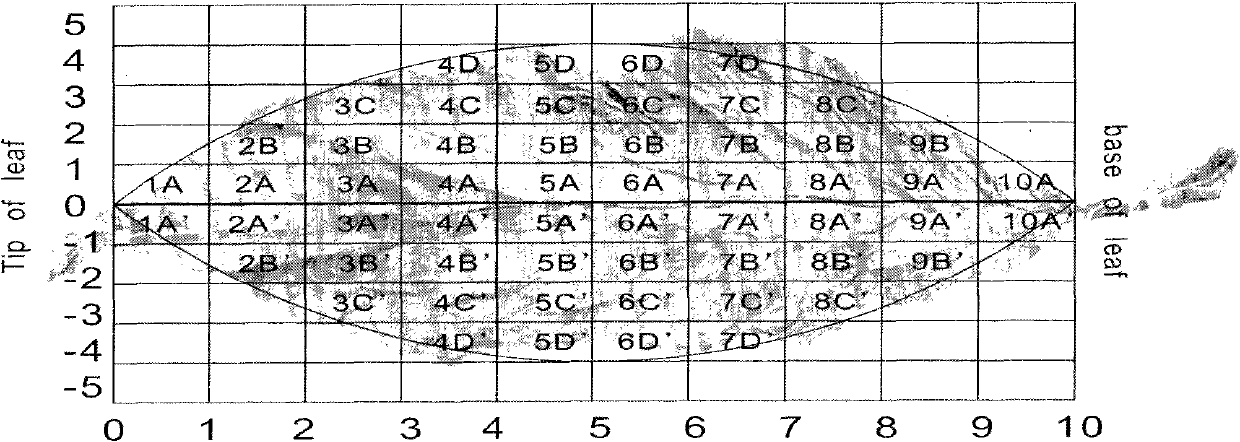 Method for slitting, striking and redrying tobacco