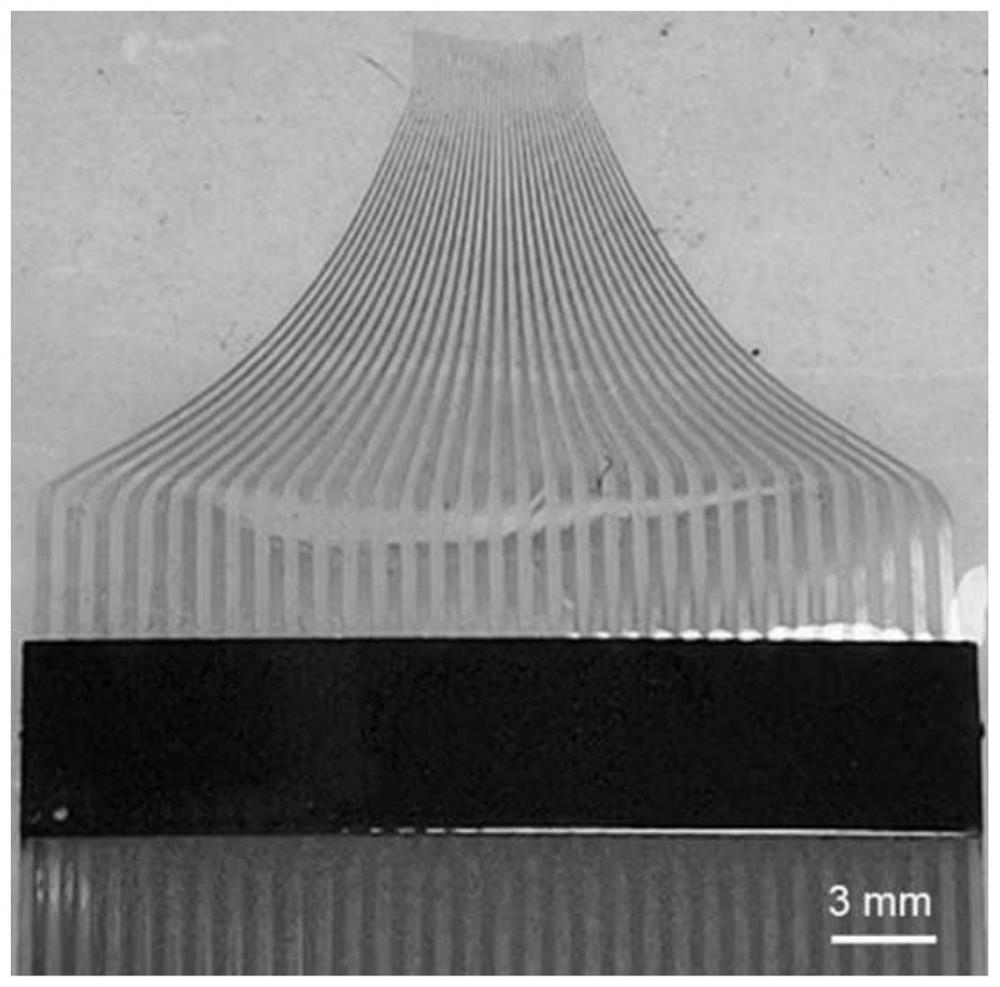 Multi-channel high-density ultra-narrow stretchable microelectrode and preparation method and application thereof