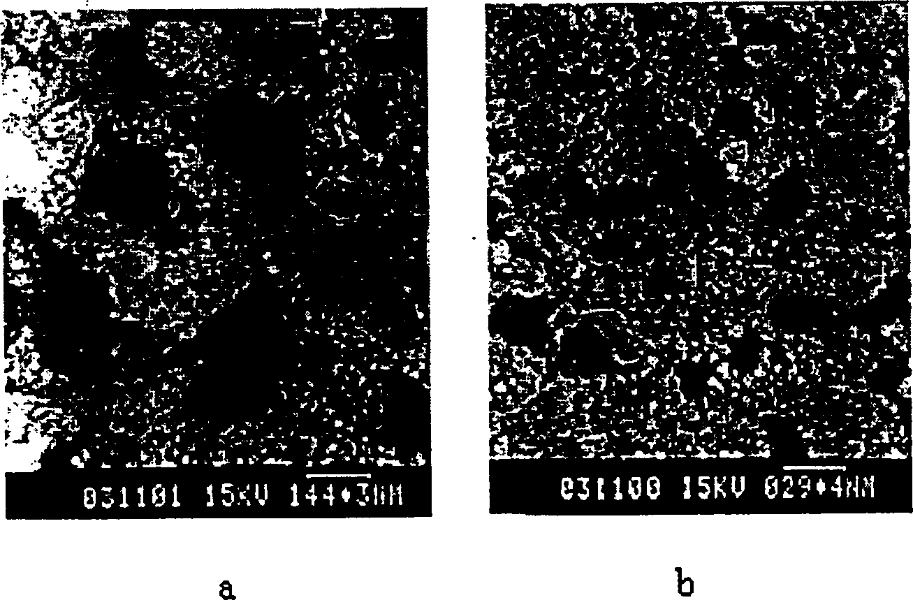 Preparation method of plant origion alcohrl soluble protein three dimentional support