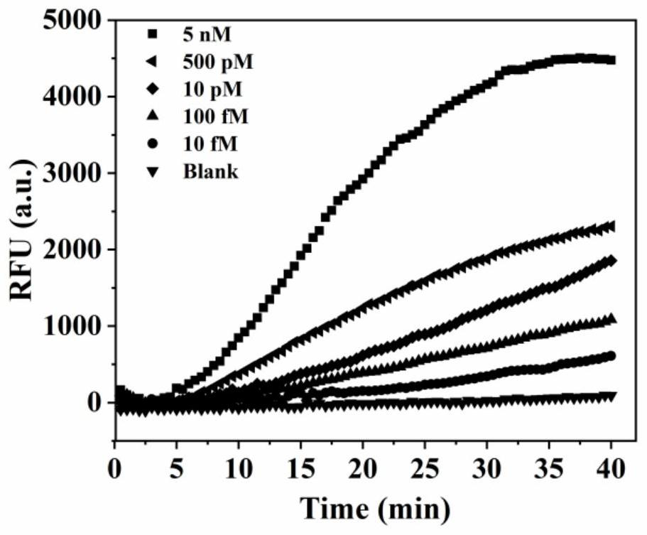 MicroRNA biosensor for triggering 3-D double-leg DNA walker through exponential amplification reaction