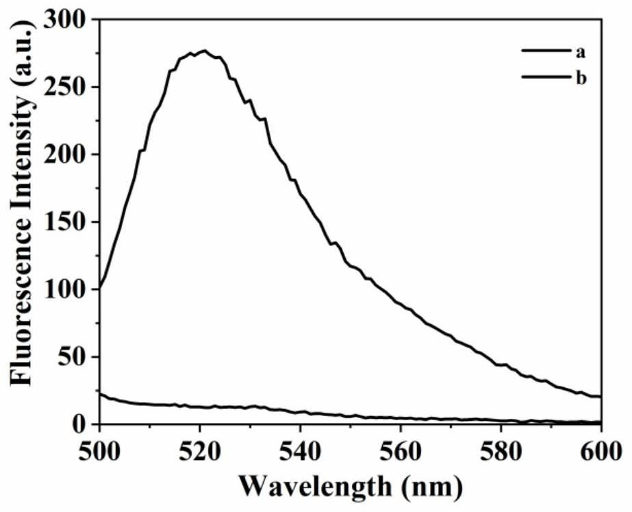 MicroRNA biosensor for triggering 3-D double-leg DNA walker through exponential amplification reaction