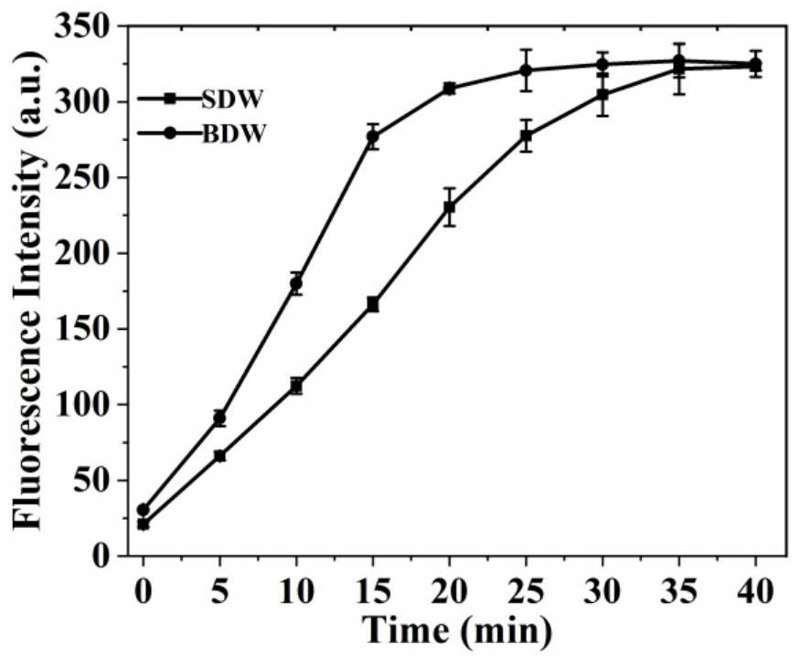 MicroRNA biosensor for triggering 3-D double-leg DNA walker through exponential amplification reaction