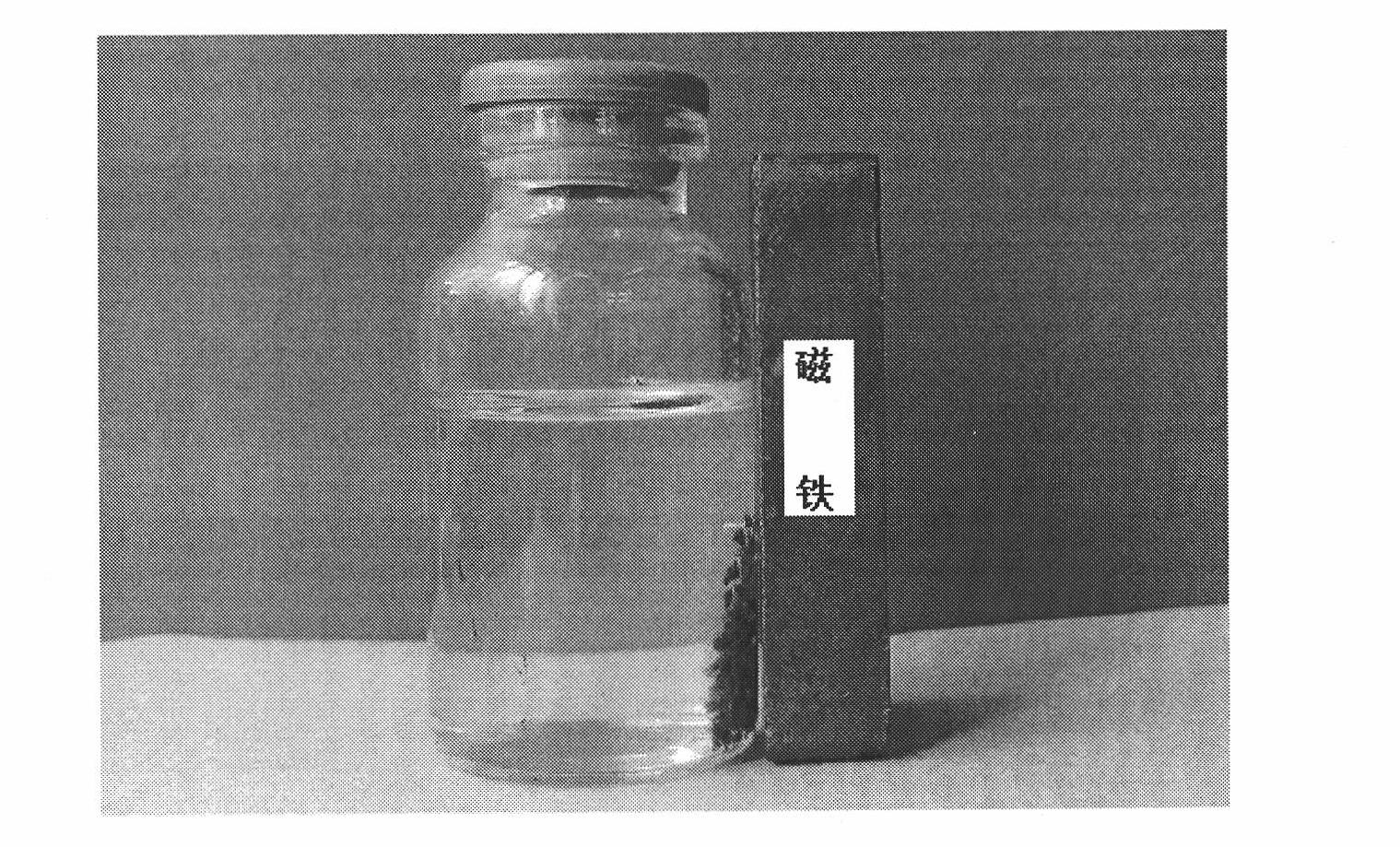 Matrine magnetic slow-releasing capsule and preparation method