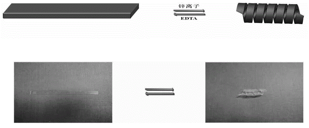 Trace ion response hydrogel and preparation method thereof