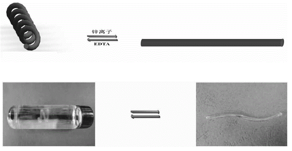 Trace ion response hydrogel and preparation method thereof