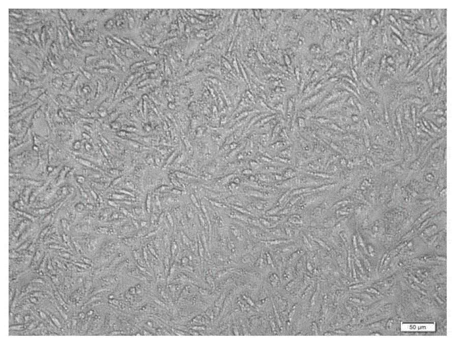 Trace ion response hydrogel and preparation method thereof