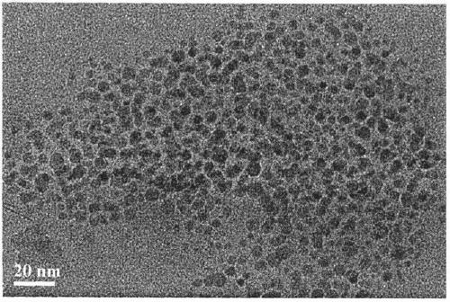 Relatively long emission wavelength fluorescent carbon quantum dot and preparation method thereof