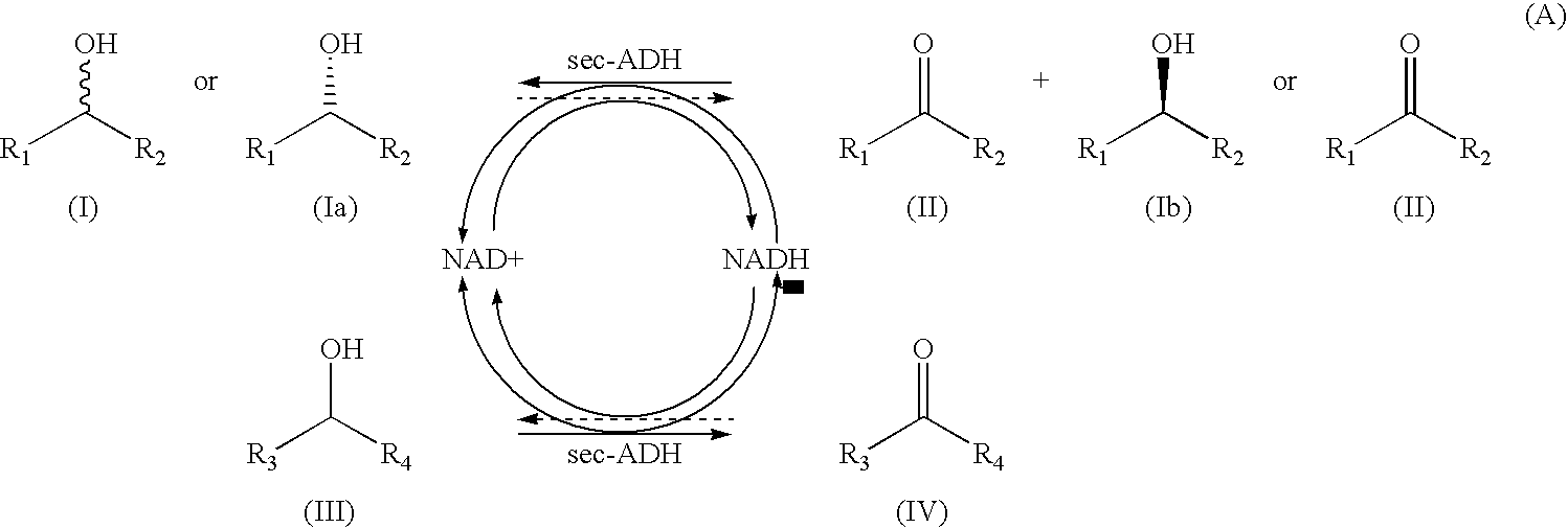 Alcohol dehydrogenases with increased solvent and temperature stability