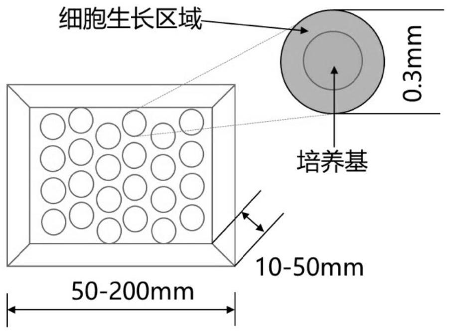 A preparation method and application of cross-linked hydrogel for muscle stem cell culture