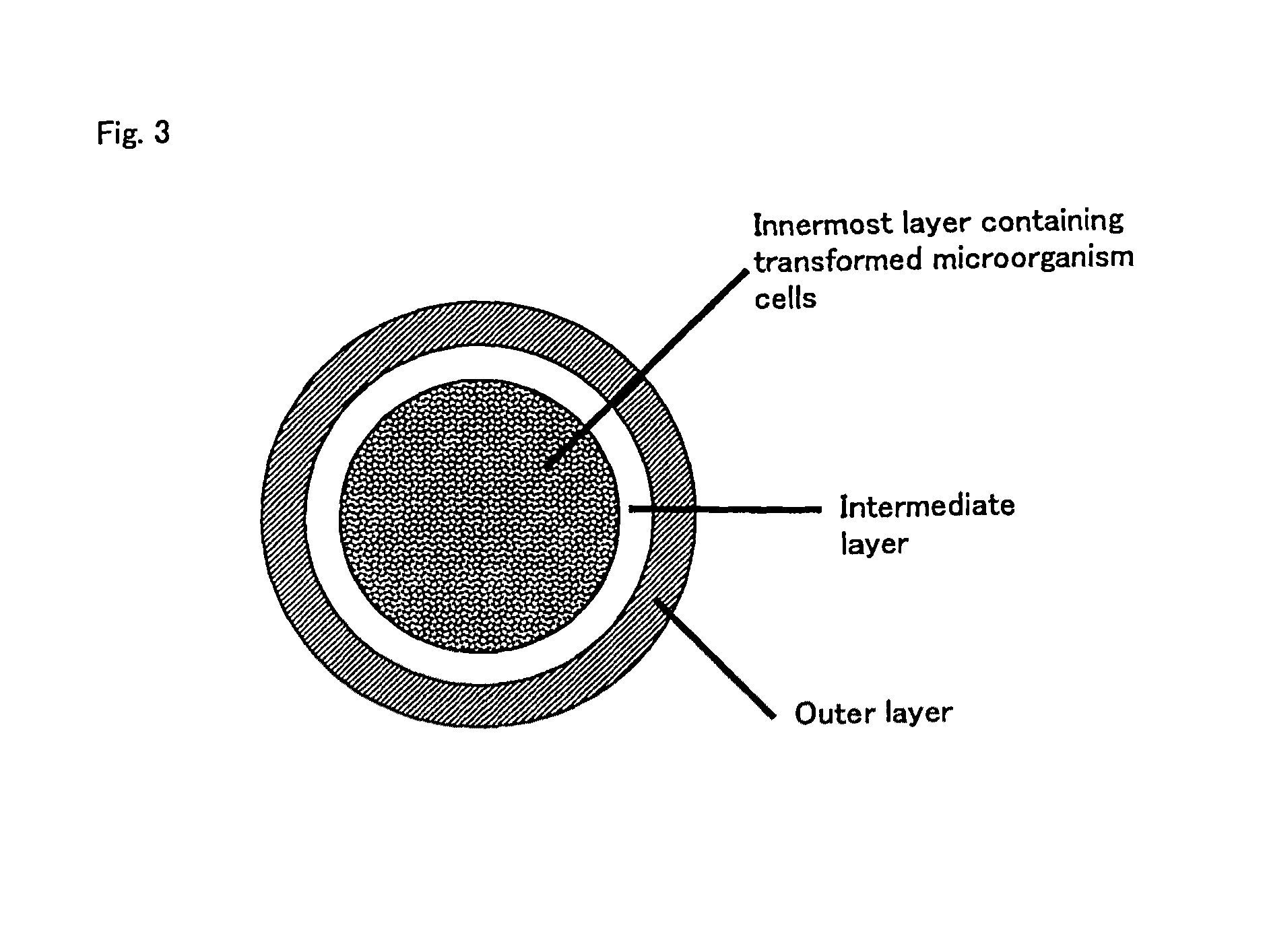 Oral vaccine