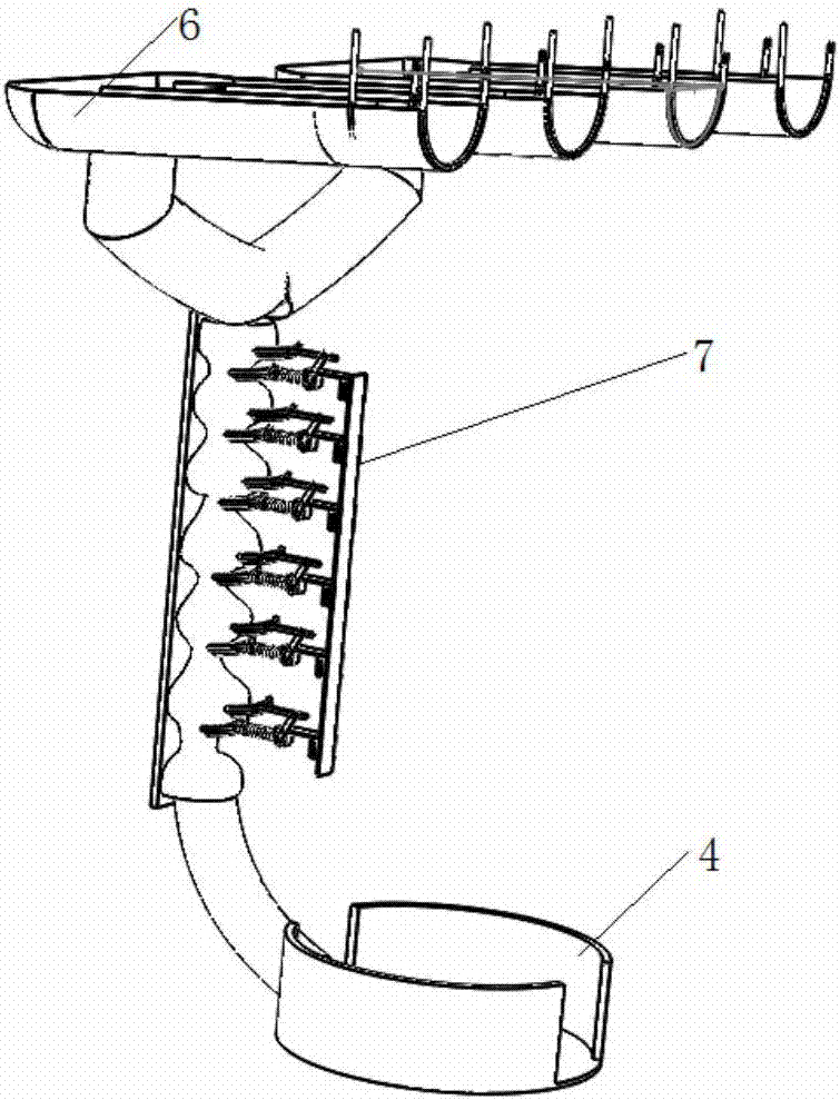 Fruit conveying system and fruit picking robot