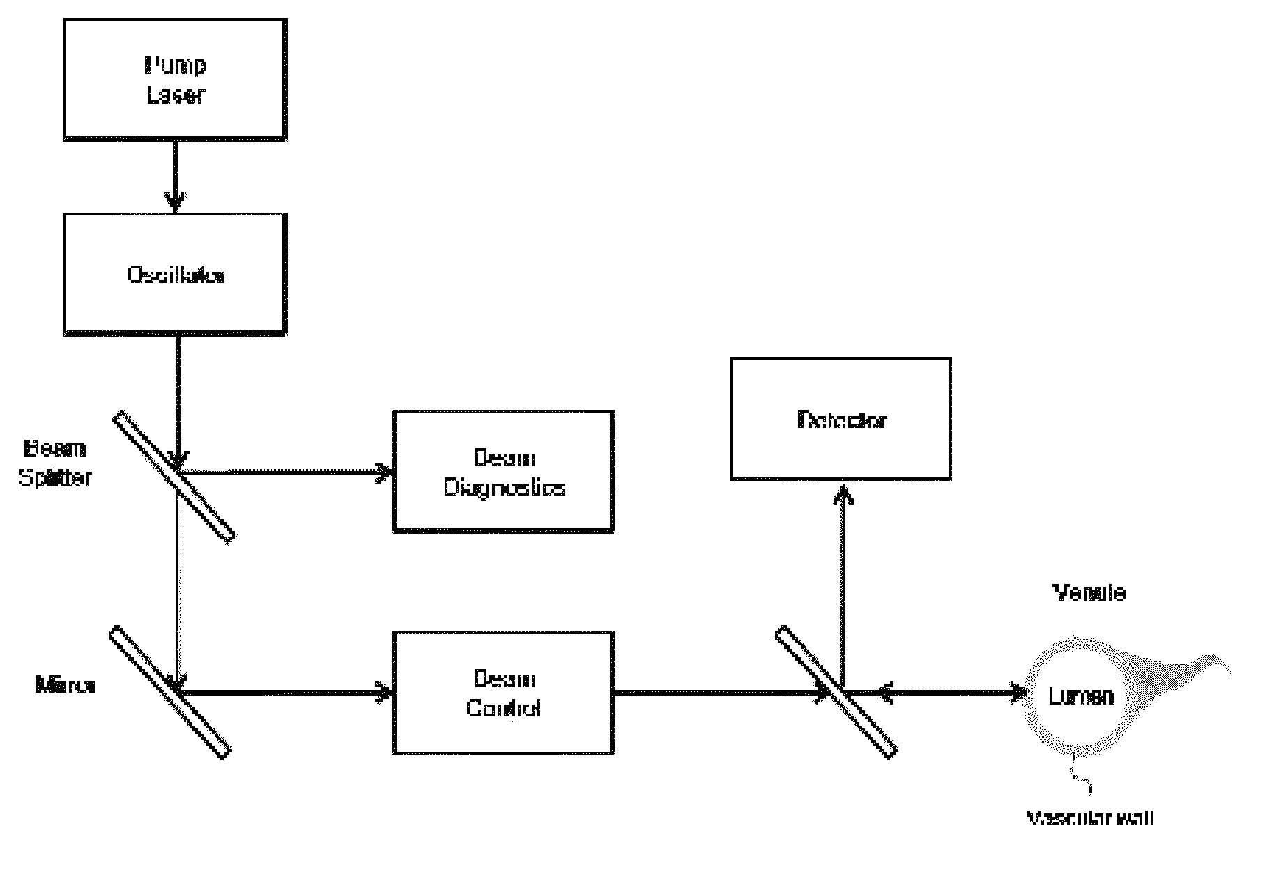 Modulator of vascular permeability using pulsed laser and method for modulating vascular permeability using the same