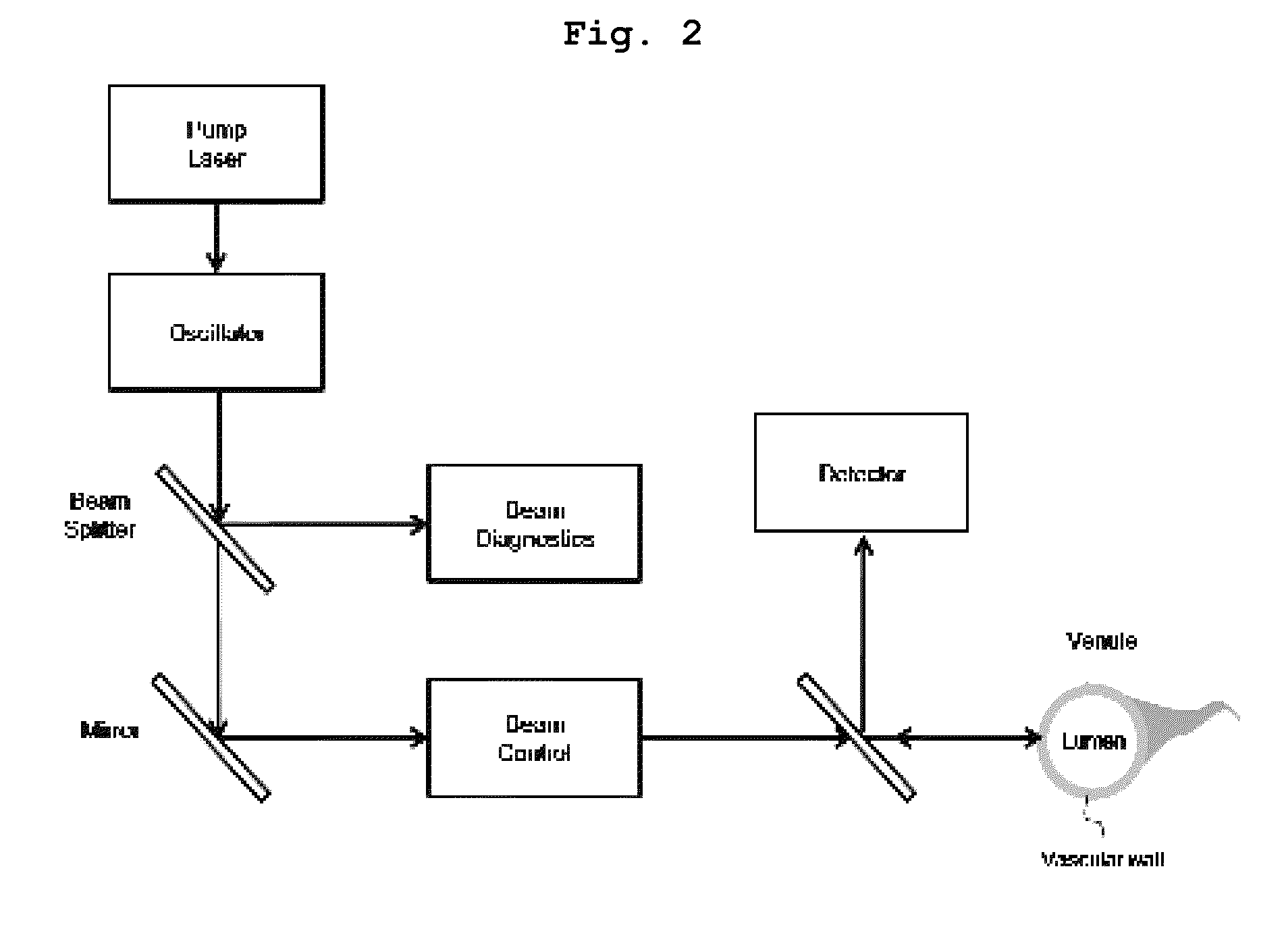 Modulator of vascular permeability using pulsed laser and method for modulating vascular permeability using the same