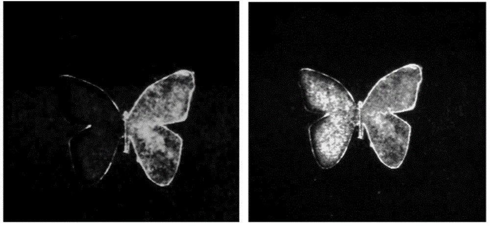 Application of fluorescent silica nanoparticles as anti-fake mark