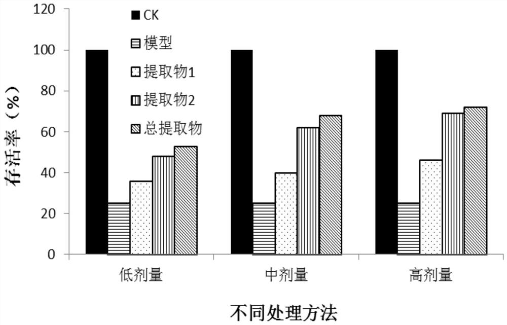 Preparation method and application of scoparia dulcis extract for resisting islet cell apoptosis