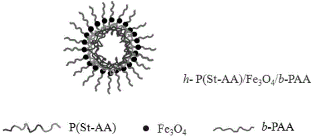 Amphipathic superparamagnetic composite hollow microsphere and preparation method thereof