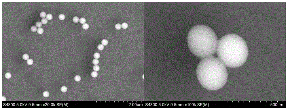 Amphipathic superparamagnetic composite hollow microsphere and preparation method thereof