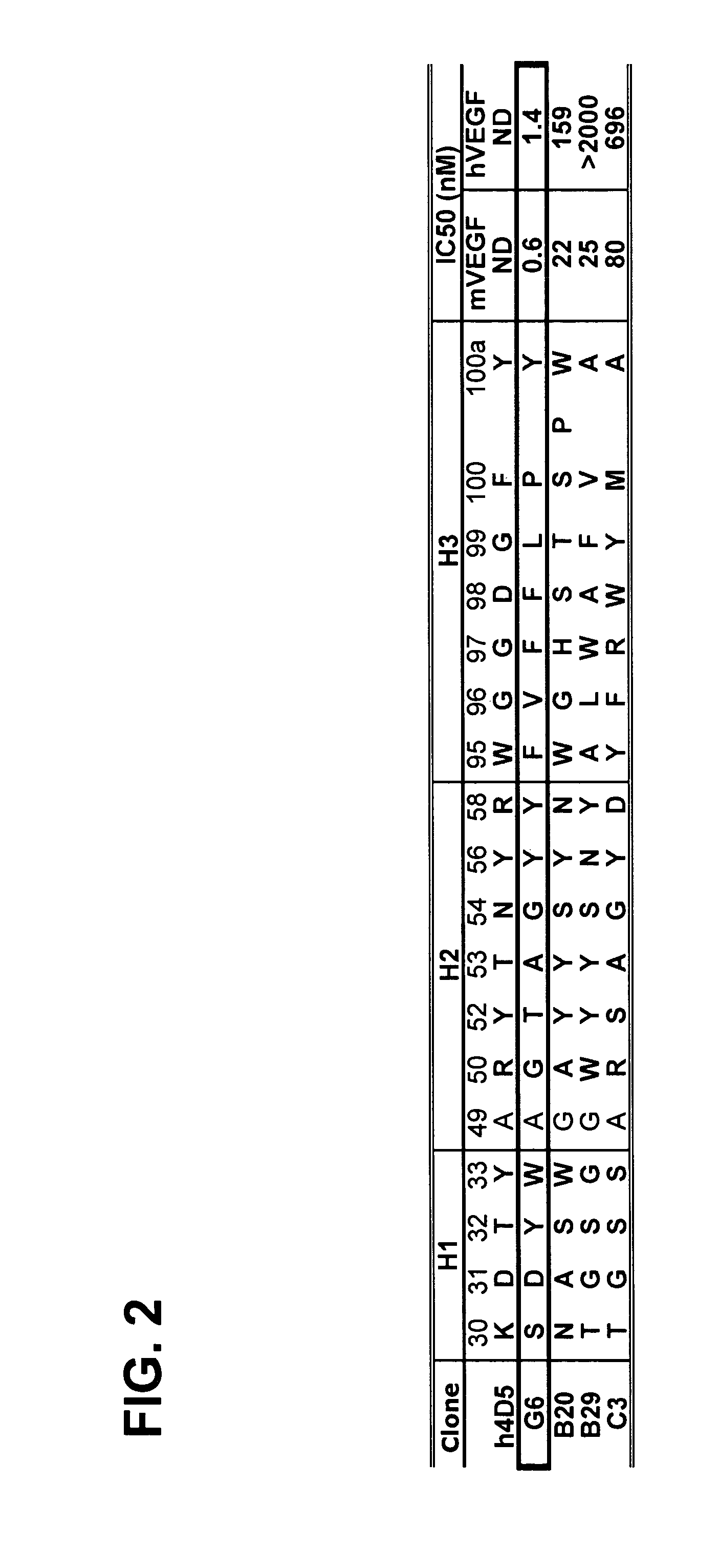 Anti-VEGF antibodies