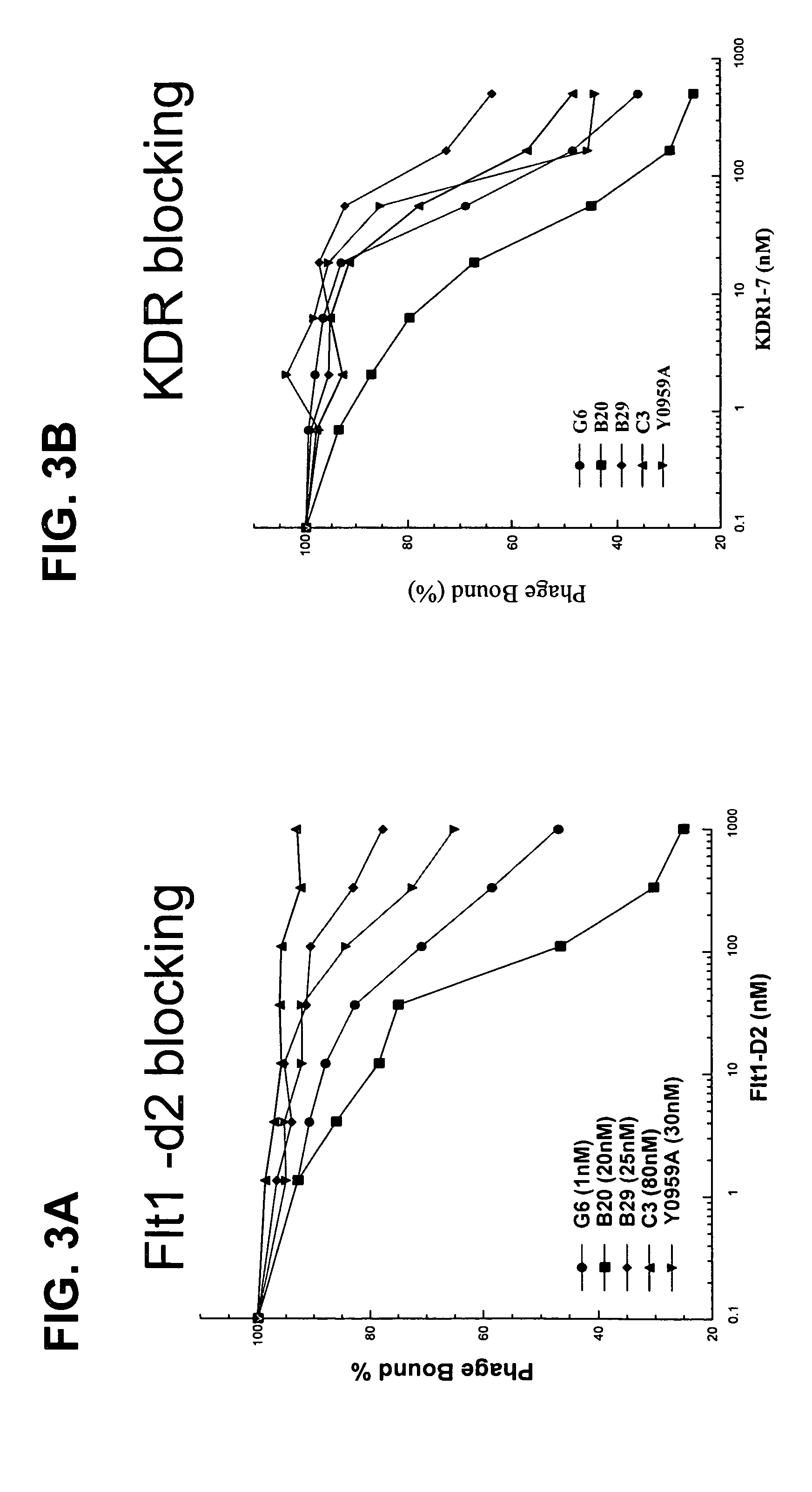 Anti-VEGF antibodies