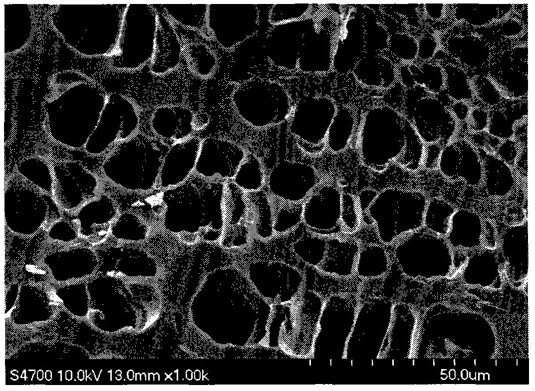 New method for preparing porous hydrogel by adopting low temperature photopolymerization