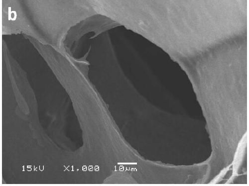 A kind of oil-water separation type sodium alginate/graphene oxide composite airgel and preparation method thereof