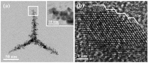 Tripod shaped platinum palladium copper alloy catalyst capable of catalyzing oxygen reduction reaction, and preparation method thereof