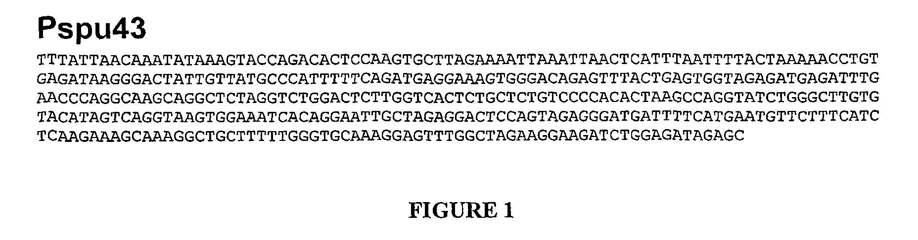 Diagnostic methods and markers