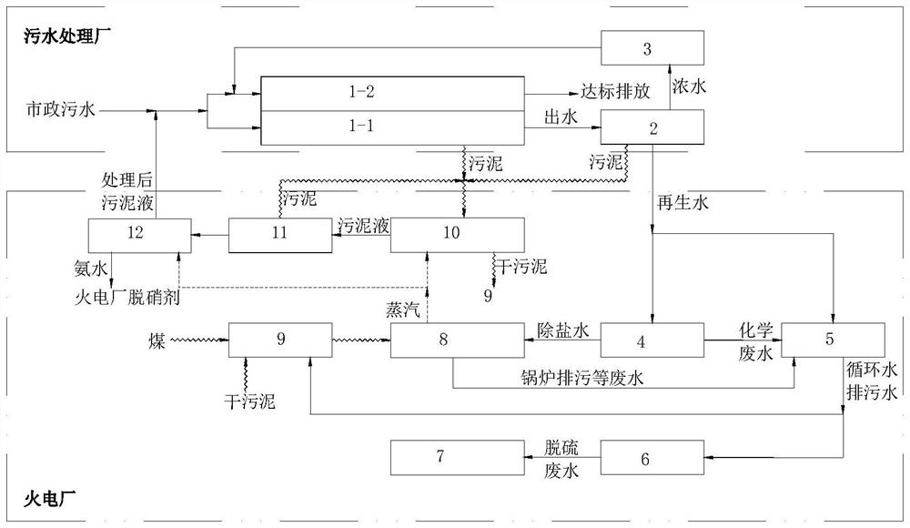 System and method for co-processing sludge and wastewater by thermal power plant and urban sewage plant