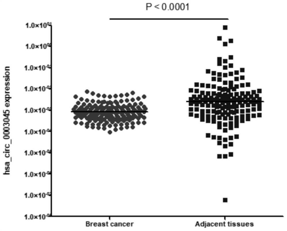 Application of hsacirc0003045 as breast cancer diagnosis and/or prognosis marker