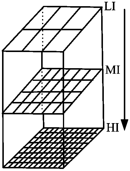 Multi-resolution visual identification method for grain insect species