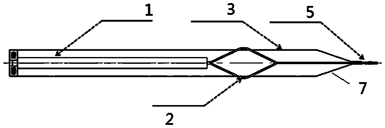 Lacrimal ductile embolism introducer